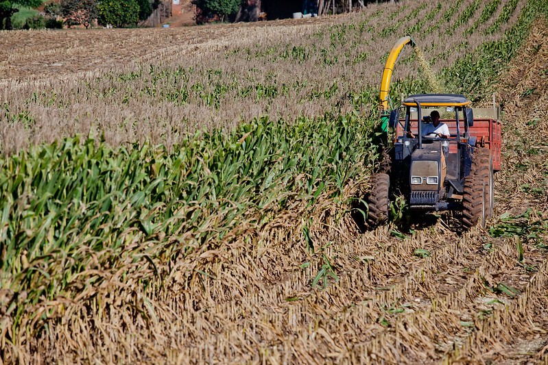 CMN aprova mudança em regulamento do Proagro para ano agrícola 2025/2026