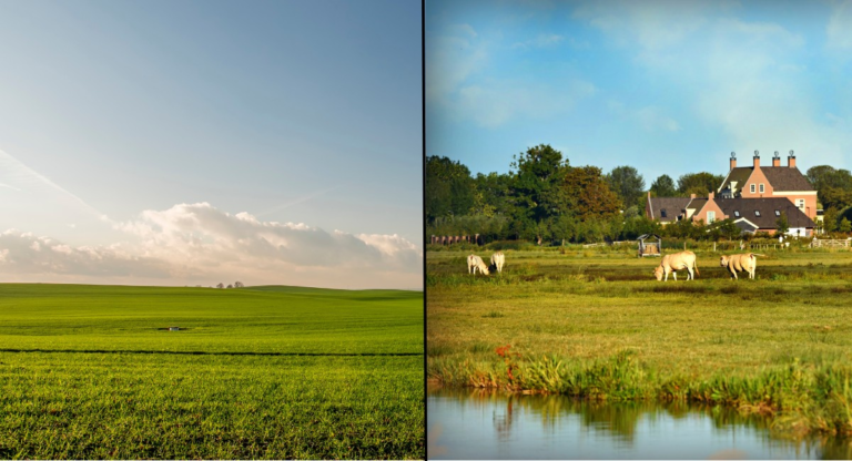 Fazenda, sítio, rancho ou chácara? Saiba a diferença entre as propriedades rurais