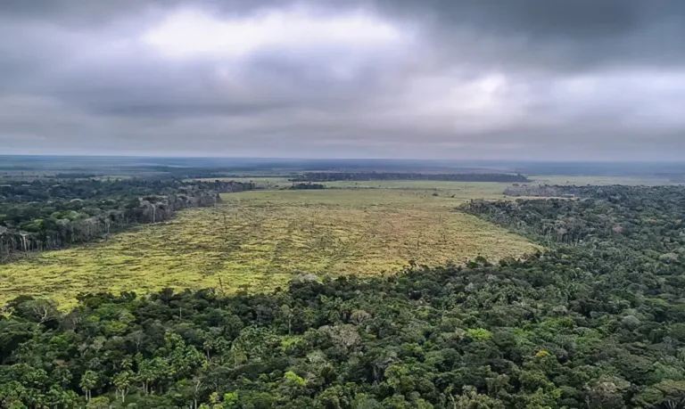 Deputado defende exclusão de Mato Grosso da Amazônia Legal