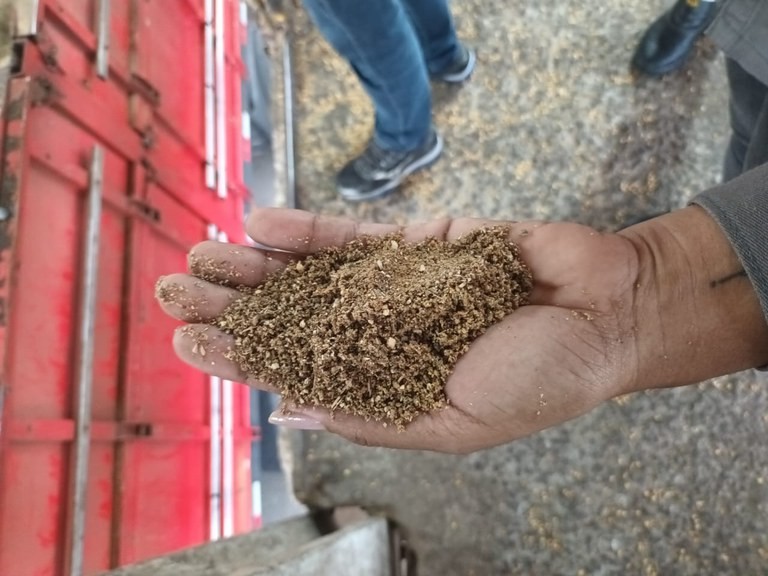 Ministério intercepta carga de farelo de soja no Porto de Paranaguá
