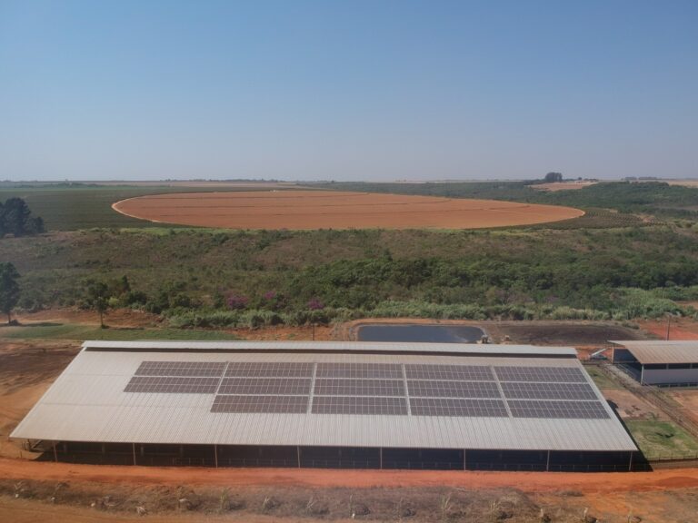 Fazenda de leite economiza R$ 50 mil por mês com energia solar