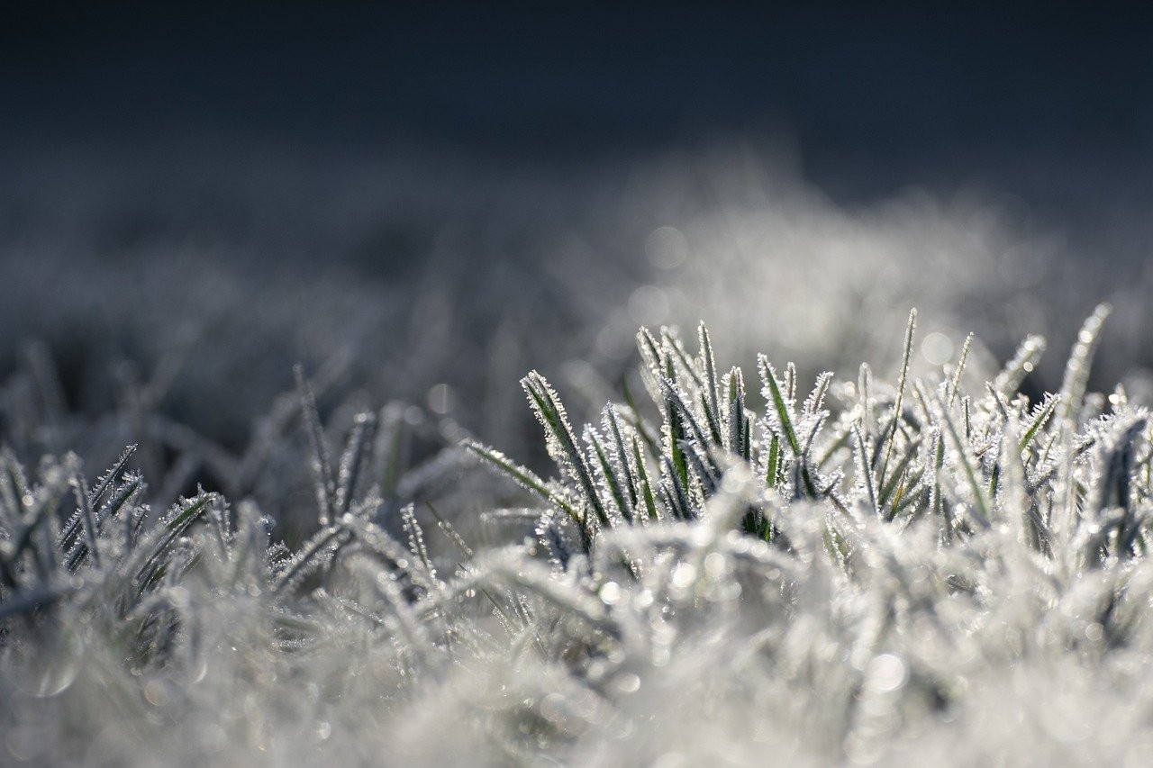 Frio segue intenso e volta a causar geadas na quarta-feira