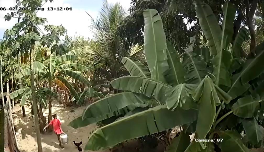 Mulher flagrada levando botijão de buffet em Horizonte é suspeita de série de furtos na região