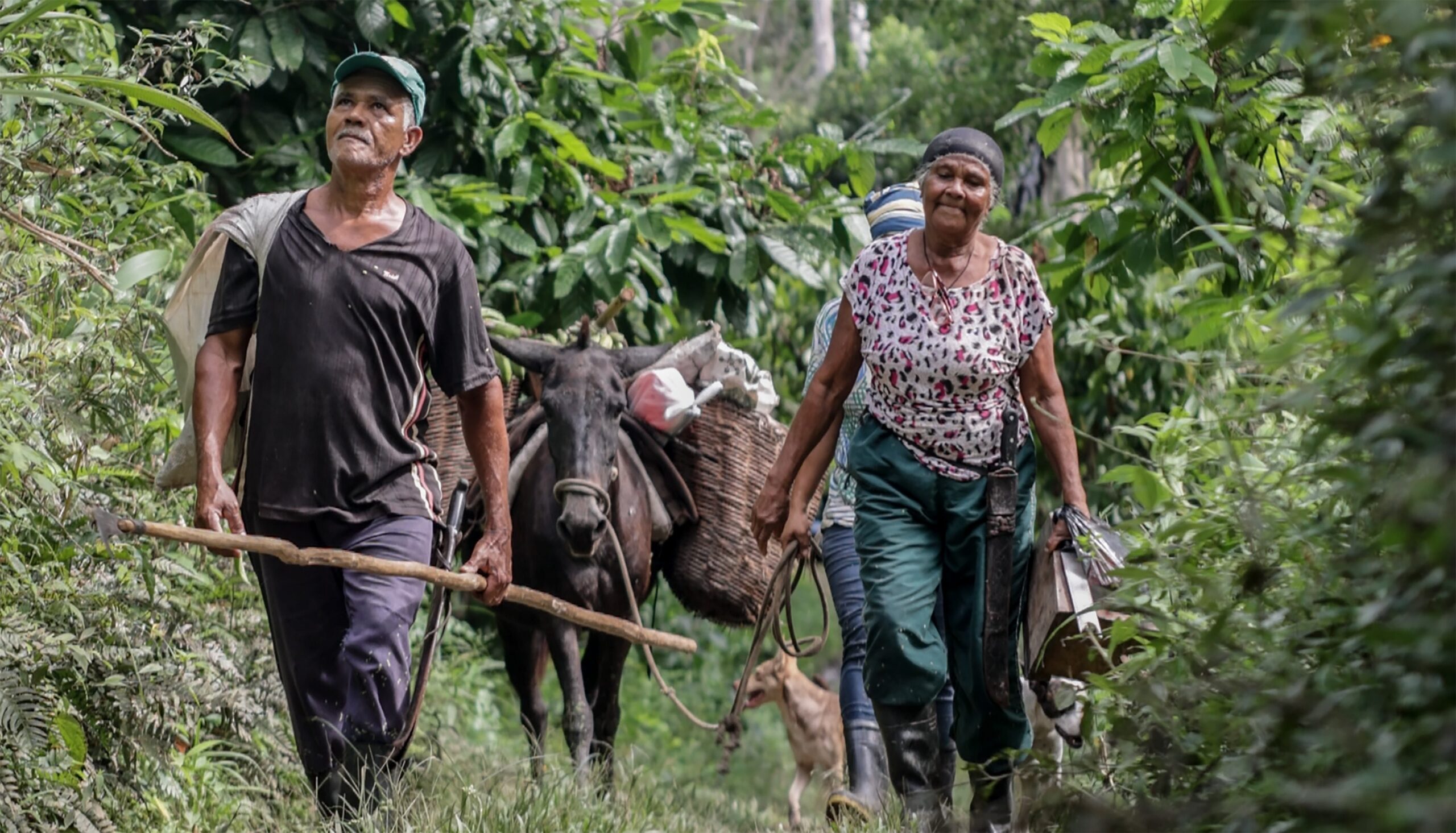 Parceria com BNDES levanta R$ 299 milhões a agricultura familiar na Bahia