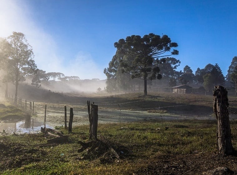 Quarta frente fria começa amanhã, e julho abre com risco de geada no Sul
