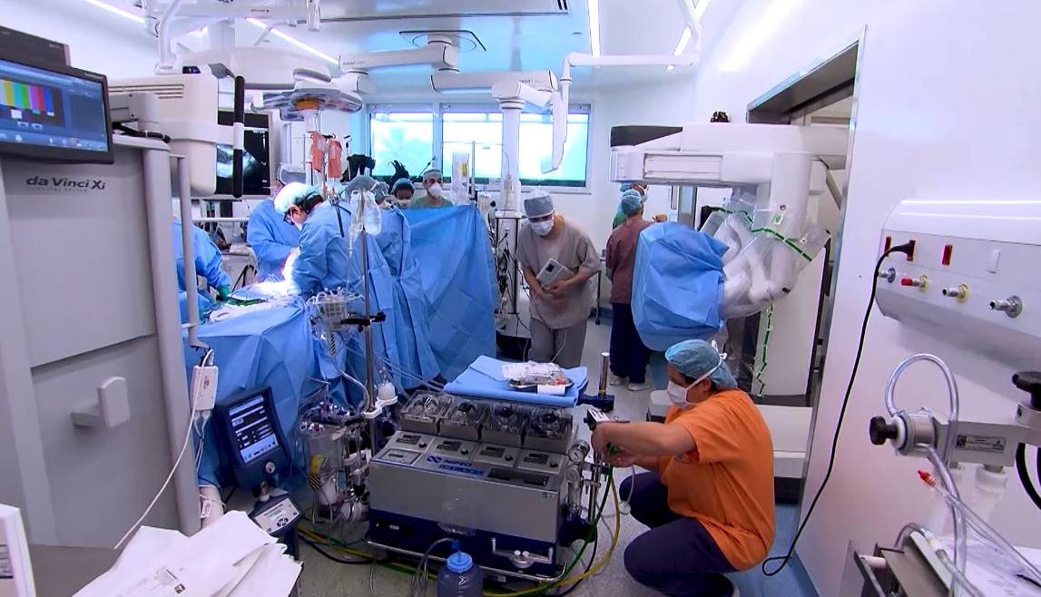 Campanhas de conscientização ajudam a reduzir recusa familiar por doação de órgãos no Brasil