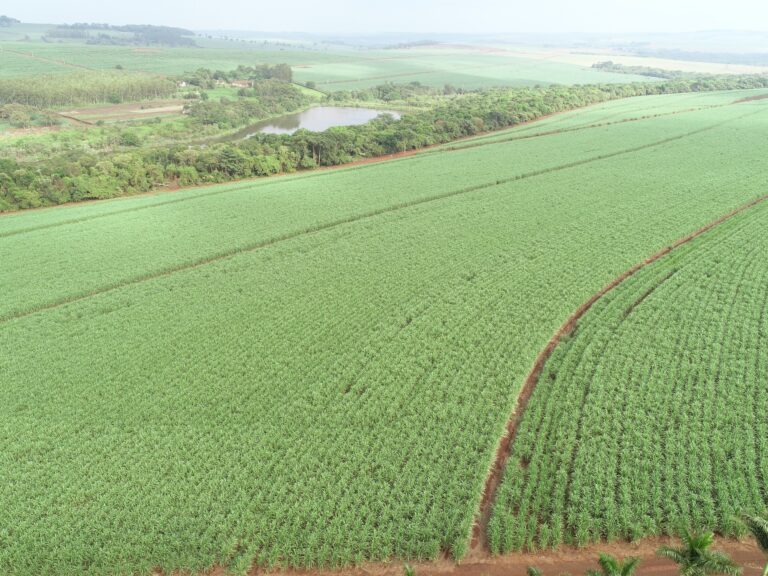 Projeto da Vivo quer conectar mais de 700 mil hectares no interior paulista