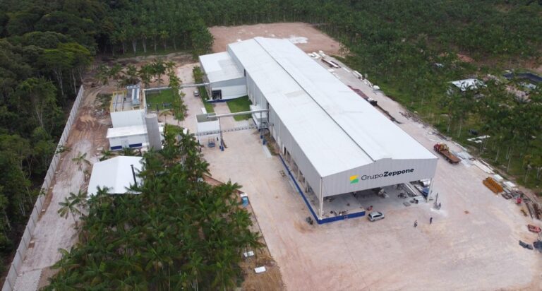 Polpanorte investe em marcas de baixo custo para manter a liderança em açaí