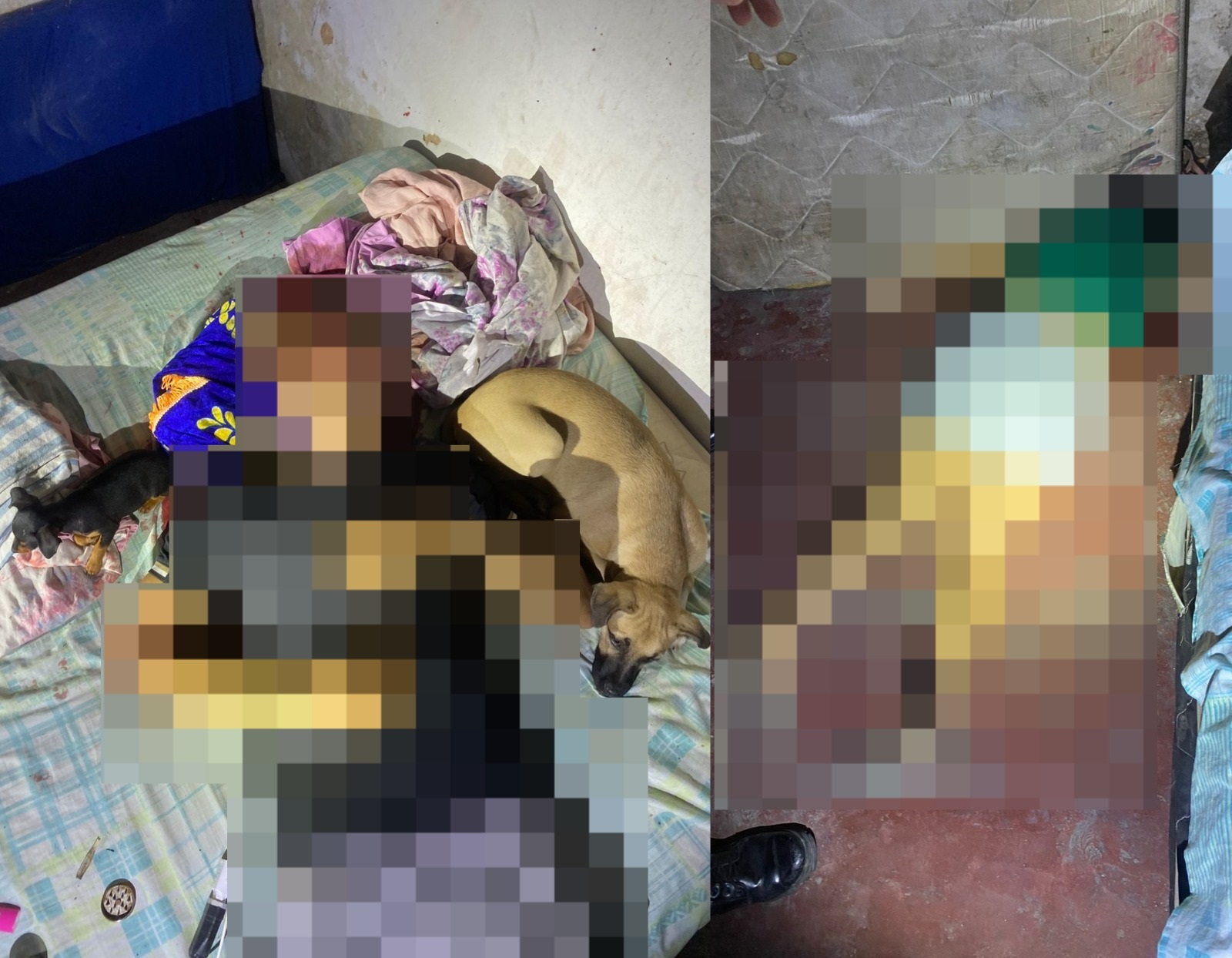 Casal é morto a tiros após criminosos invadirem residência em Fortaleza