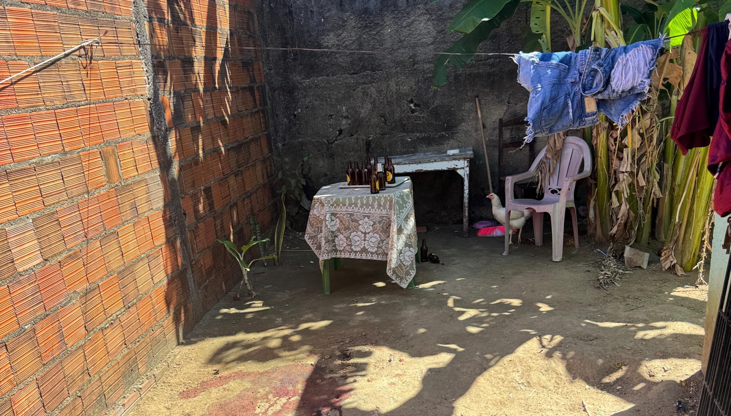 Grupo armado invade casa e mata casal no Ceará; mulher morreu ao tentar defender o companheiro