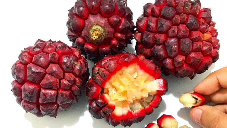 Pindaíba é uma fruta e se conecta com expressão popular do Brasil; conheça
