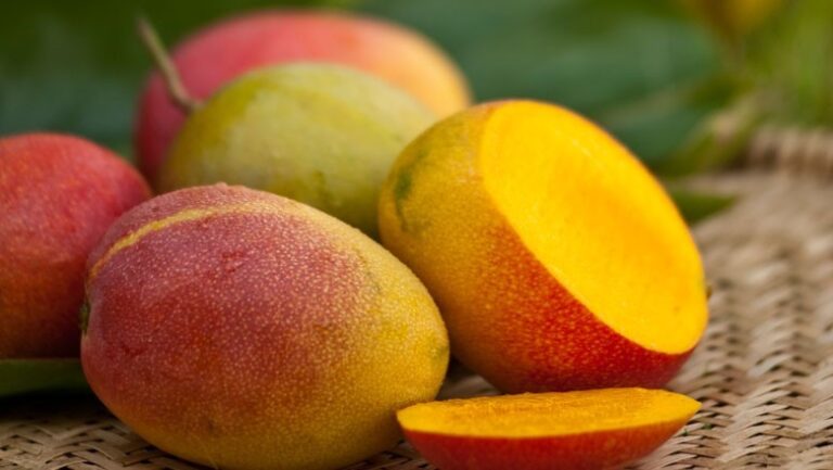 Após tarifaço, exportadores de frutas já dão como certa queda de preços