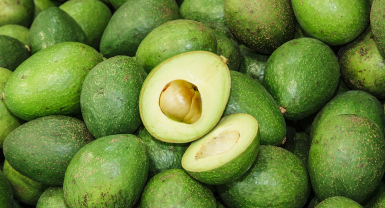 Como fazer o abacateiro dar frutos