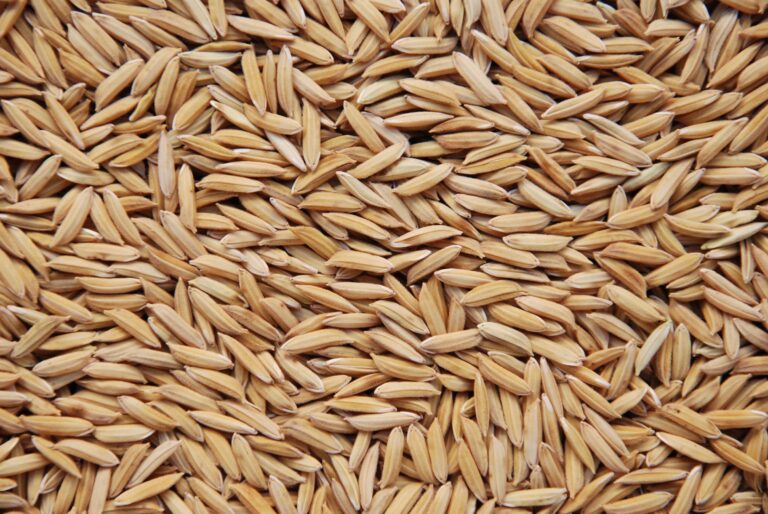 Preços do arroz seguem firmes, apesar de liquidez baixa dos negócios