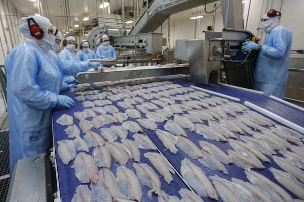 Produção de pescados ‘engata marcha ré’ com tarifas de Trump ao Brasil, diz pesquisador