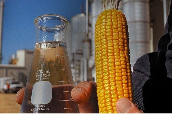 Com acordos, etanol e DDG dos EUA competirão com produtos do Brasil na Ásia