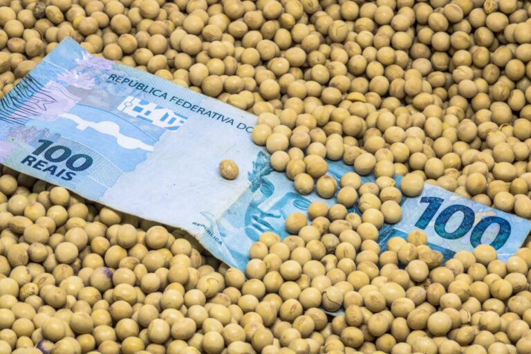 Bancada ruralista quer urgência na aprovação da renegociação de dívidas agrícolas no Senado