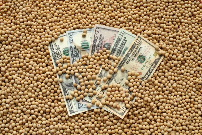Soja e milho sobem na bolsa de Chicago nesta quarta-feira