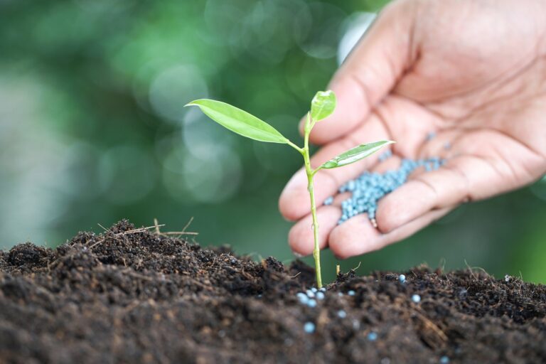 Prêmio para pesquisas sobre fertilizantes pagará R$ 15 mil a vencedor