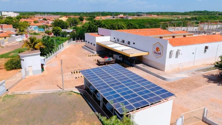Tarifaço dos EUA causa retenção de carga e preocupa produtores de mel no Piauí