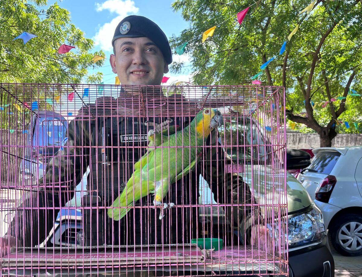 Guarda Municipal realiza resgate de três animais silvestres em Fortaleza