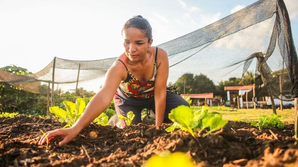 Dia do agricultor familiar: conheça sua importância e seis histórias de produtores
