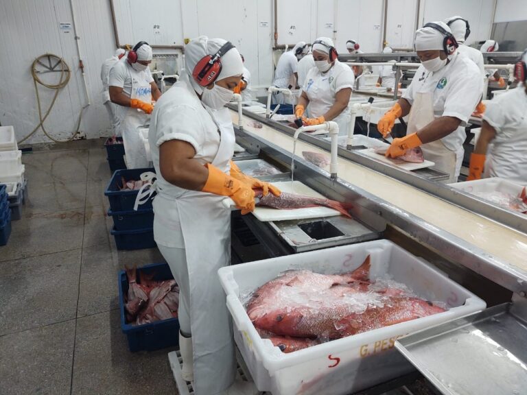 Importadora confirma: “paramos de comprar pescado do Brasil”