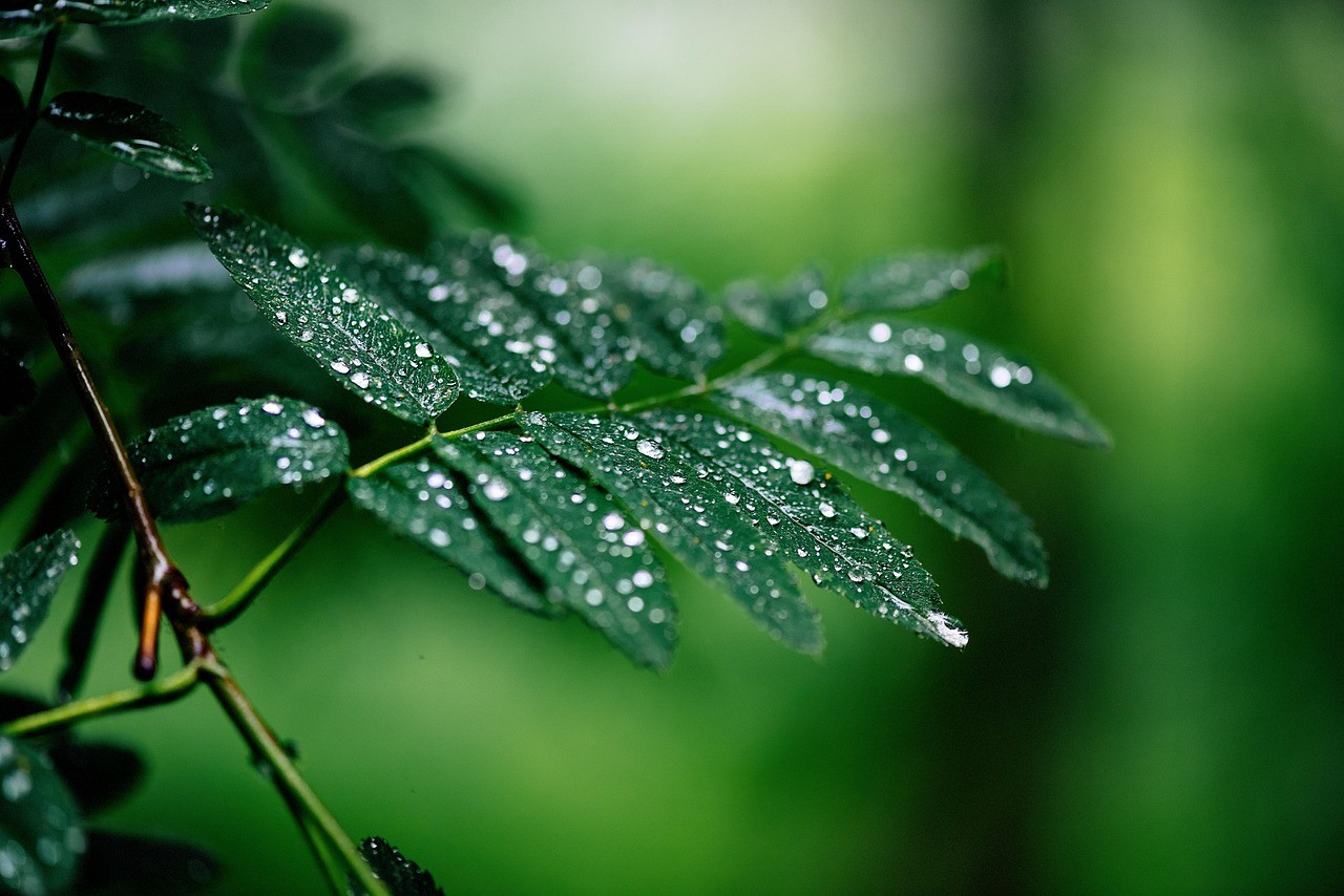 Chuva retorna ao Sudeste, enquanto interior do país segue seco; veja previsão