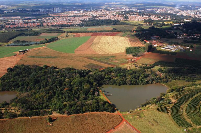 São Paulo estuda se é viável vender áreas em fazendas de pesquisa