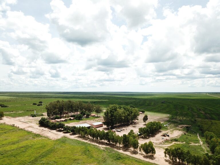 BrasilAgro vende fazenda na Bahia por R$ 141,4 milhões