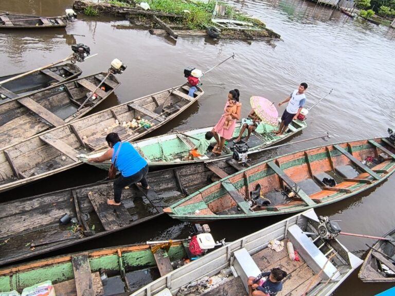 Chuva no Amazonas causa cheia dos rios e impacta produção agrícola