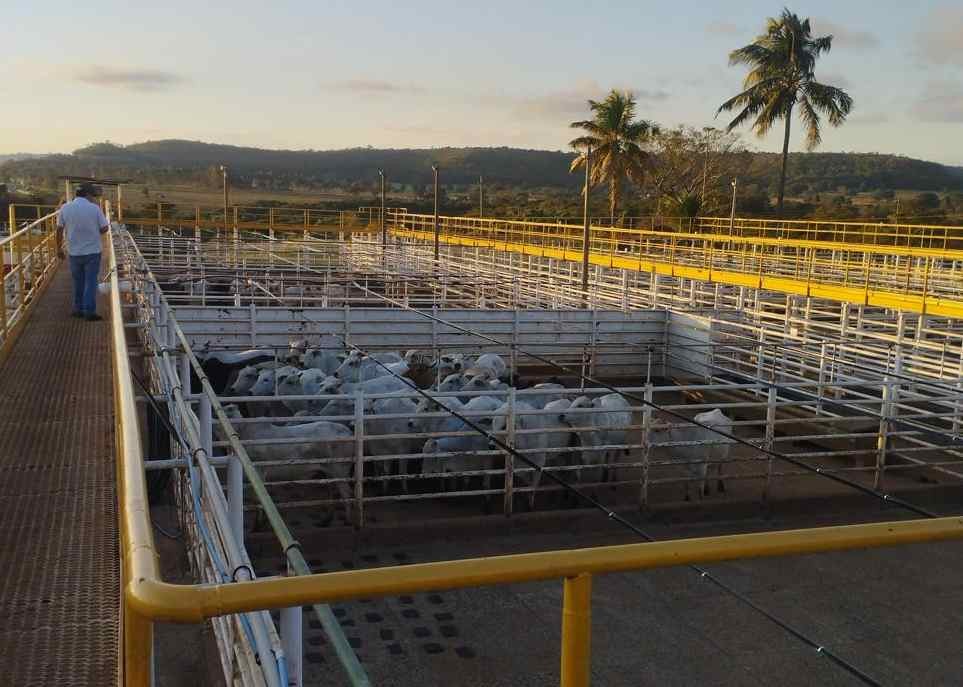 Ramax assume frigoríficos em GO e SP e inicia produção