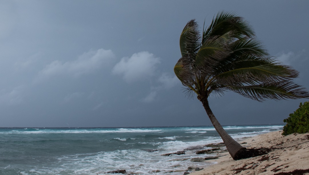 Ceará tem 44 cidades sob aviso de “perigo potencial” por ventos costeiros e baixa umidade