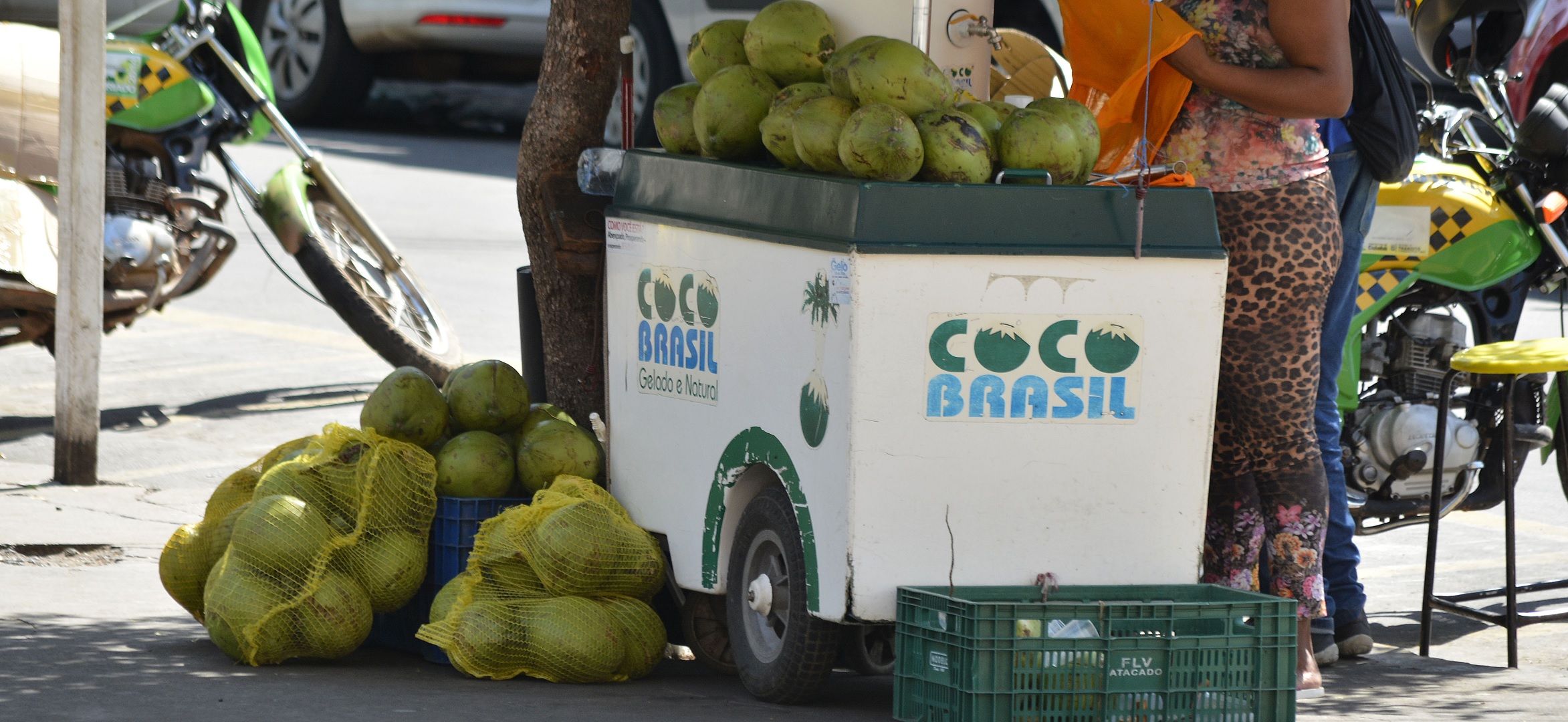 Saiba quem são influenciador e comparsa presos por ameaçar vendedores de coco na Beira Mar, em Fortaleza