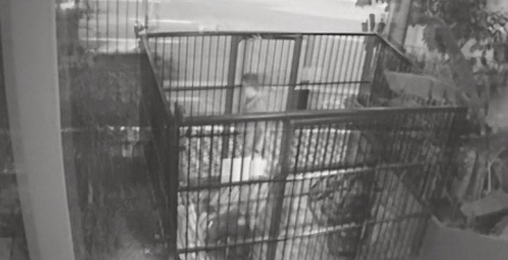 Vídeo flagra cliente agredindo entregador em condomínio na área nobre de Fortaleza