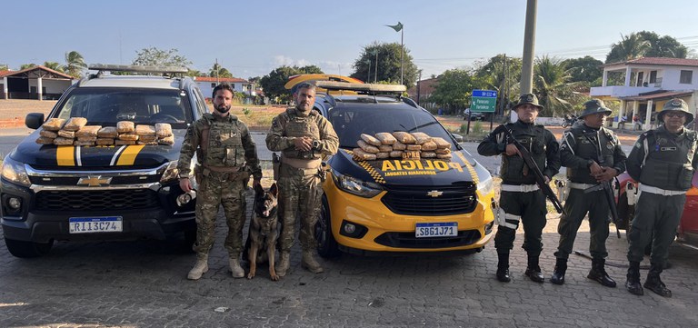 "Supermaconha": homem é preso ao trafegar com 37 tabletes de skunk em Paracuru, no Ceará