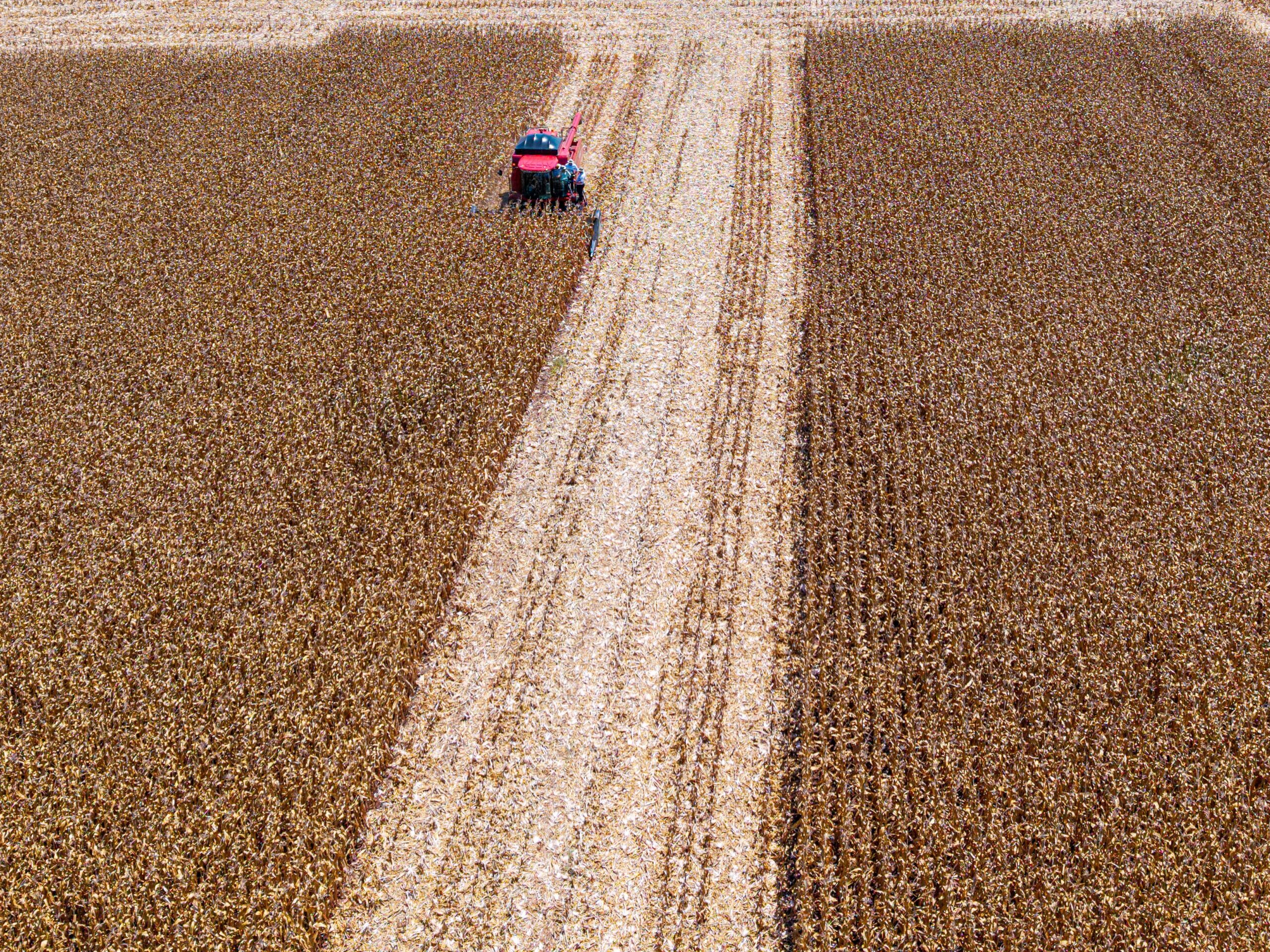 Safra ‘cheia’ e exportação impulsionaram lucro de empresas do agro no 2 trimestre