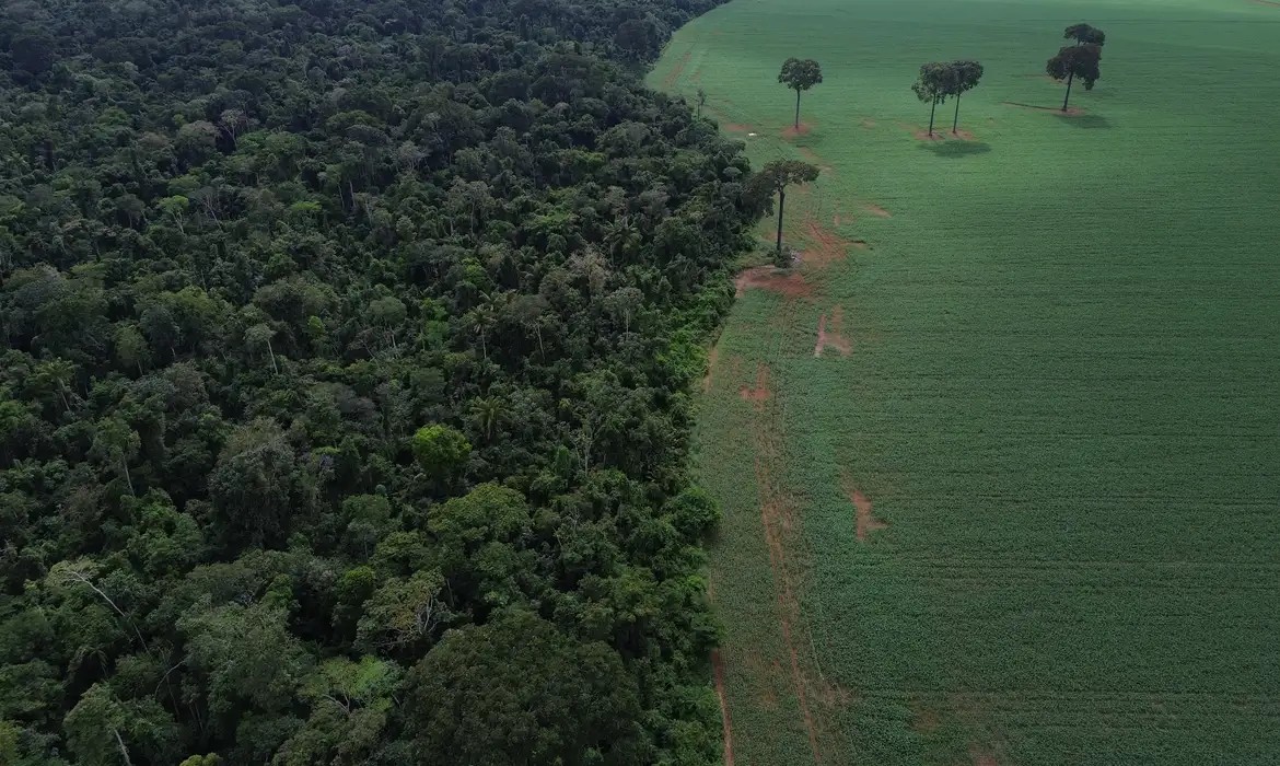 Suspensão da Moratória da Soja coloca produtores e indústrias em lados opostos