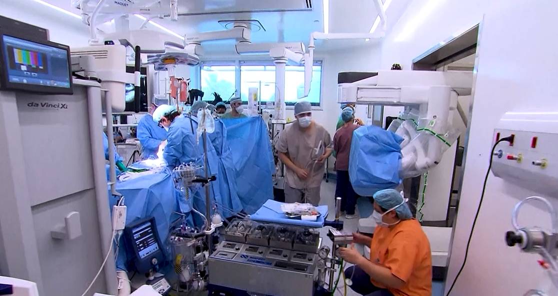 Rim é o órgão mais doado no país, mas fila de espera por transplante ainda é longa