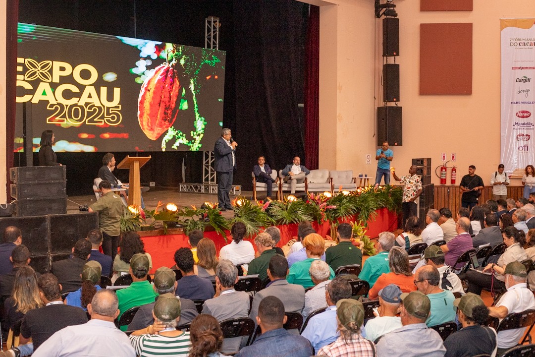 Para melhorar renda no campo, cadeia do cacau pede foco em produtividade