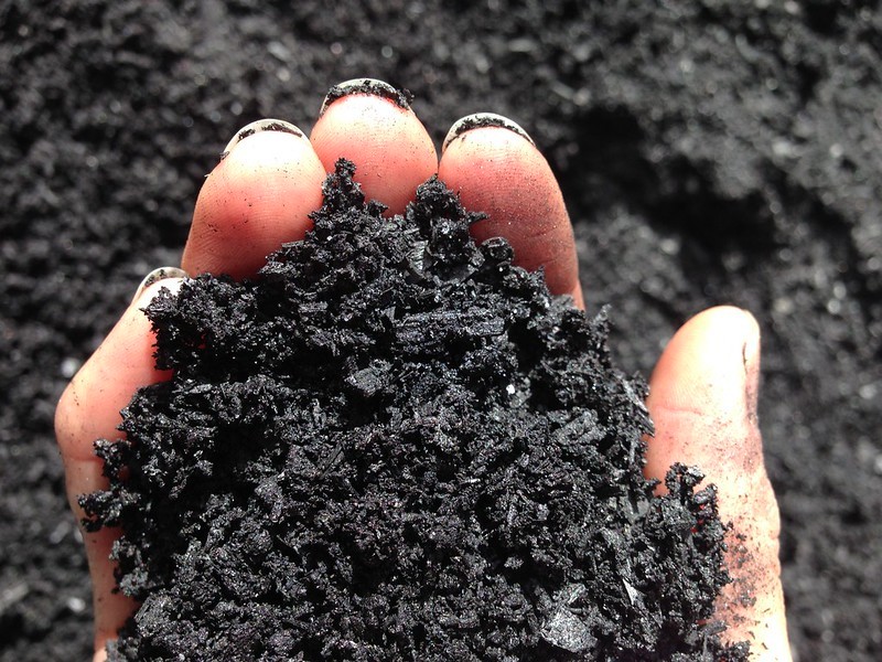 NetZero fará biochar a partir da palha e do bagaço da cana