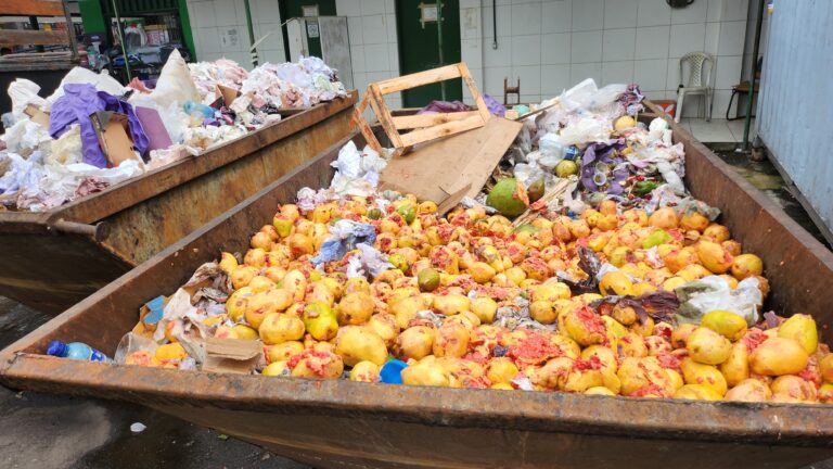 Embrapa desenvolve sistema que amplia produção de biogás a partir de resíduos da Ceasa-CE