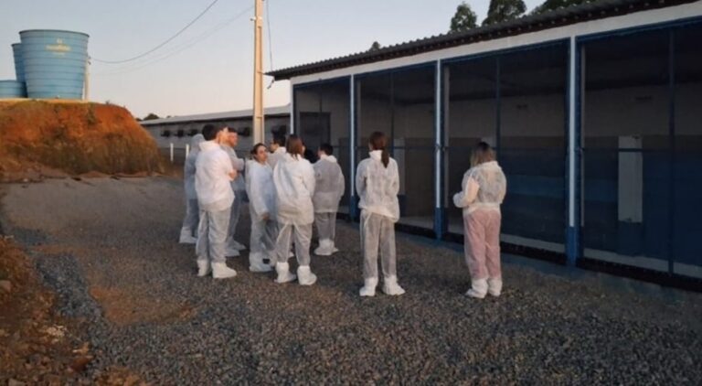 Técnicos chineses concluem inspeção a granjas e frigoríficos no RS