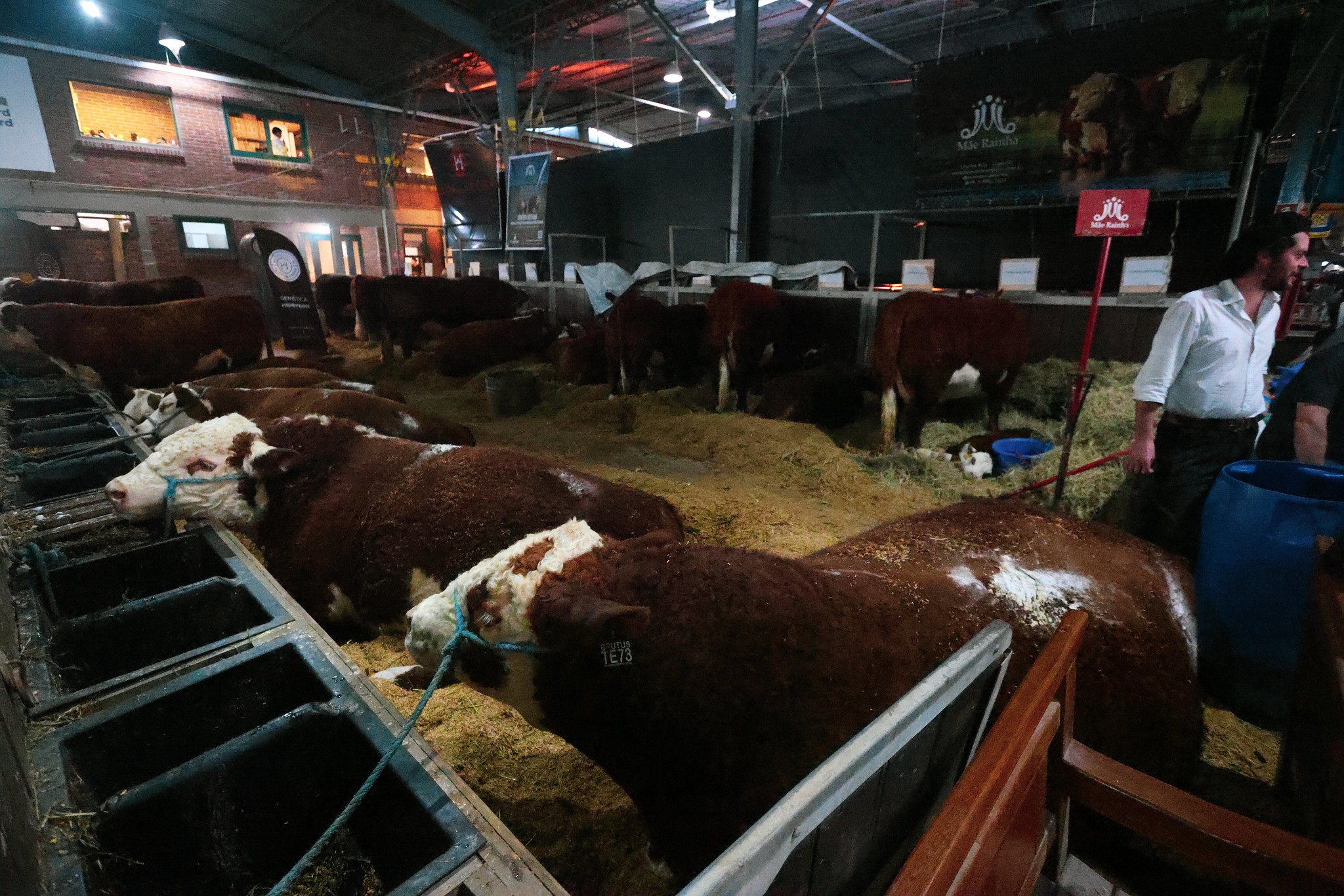 Expointer tem 45,5% de queda em negócios, apesar de recorde de público