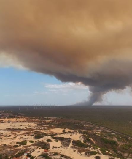 Incêndio de grandes proporções atinge vegetação em Aracati e mobiliza Corpo de Bombeiros