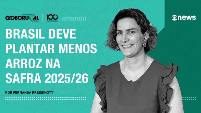 Por que o Brasil deve reduzir o plantio de arroz?