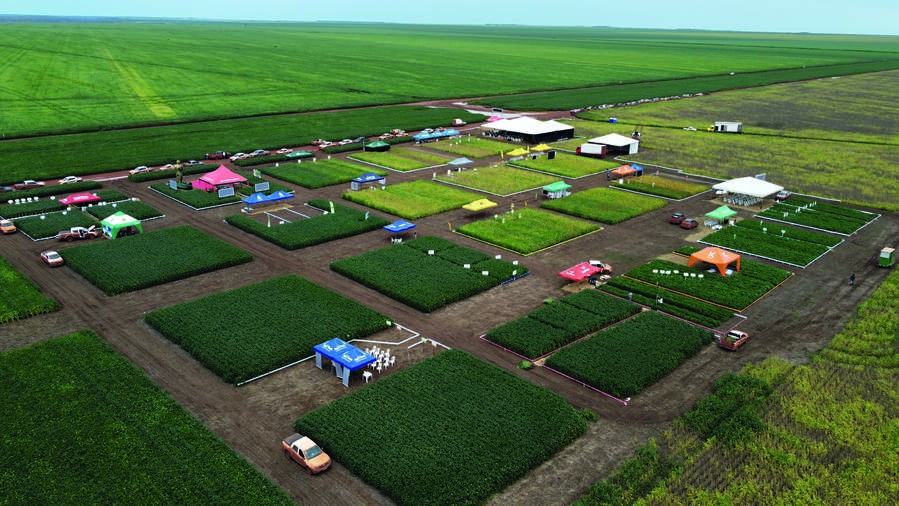 BrasilAgro lucra menos e avalia vender ativos