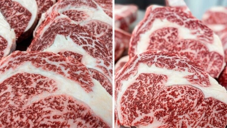 Leilão beneficente vai ofertar carne Wagyu com marmoreio máximo; veja como participar