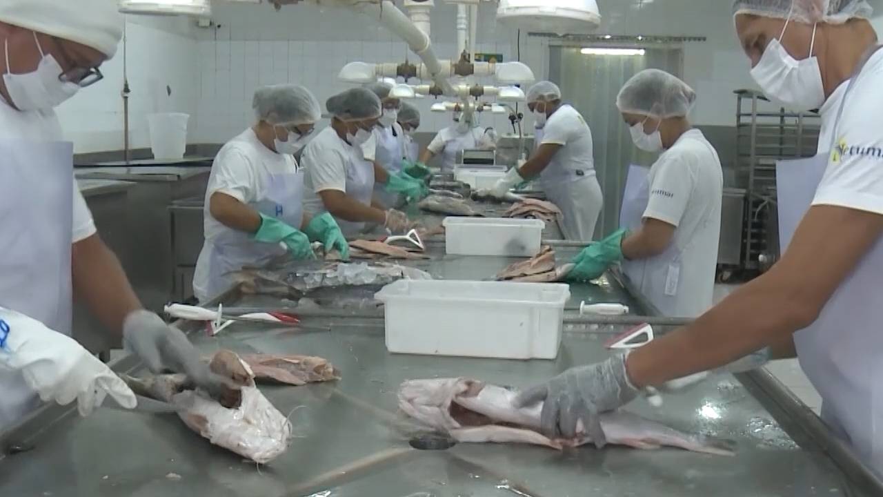 Tarifaço de Donald Trump é tema de debates durante realização da Semana Nacional do Pescado