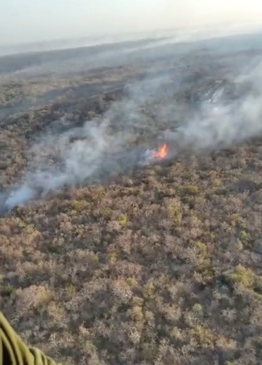 Incêndio em vegetação mobiliza bombeiros e moradores são retirados de casas em Aracati